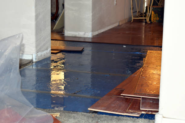 Professional Water Damage Restoration technician working in Mapleton, IA